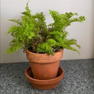 Meet your Posher, Wanita